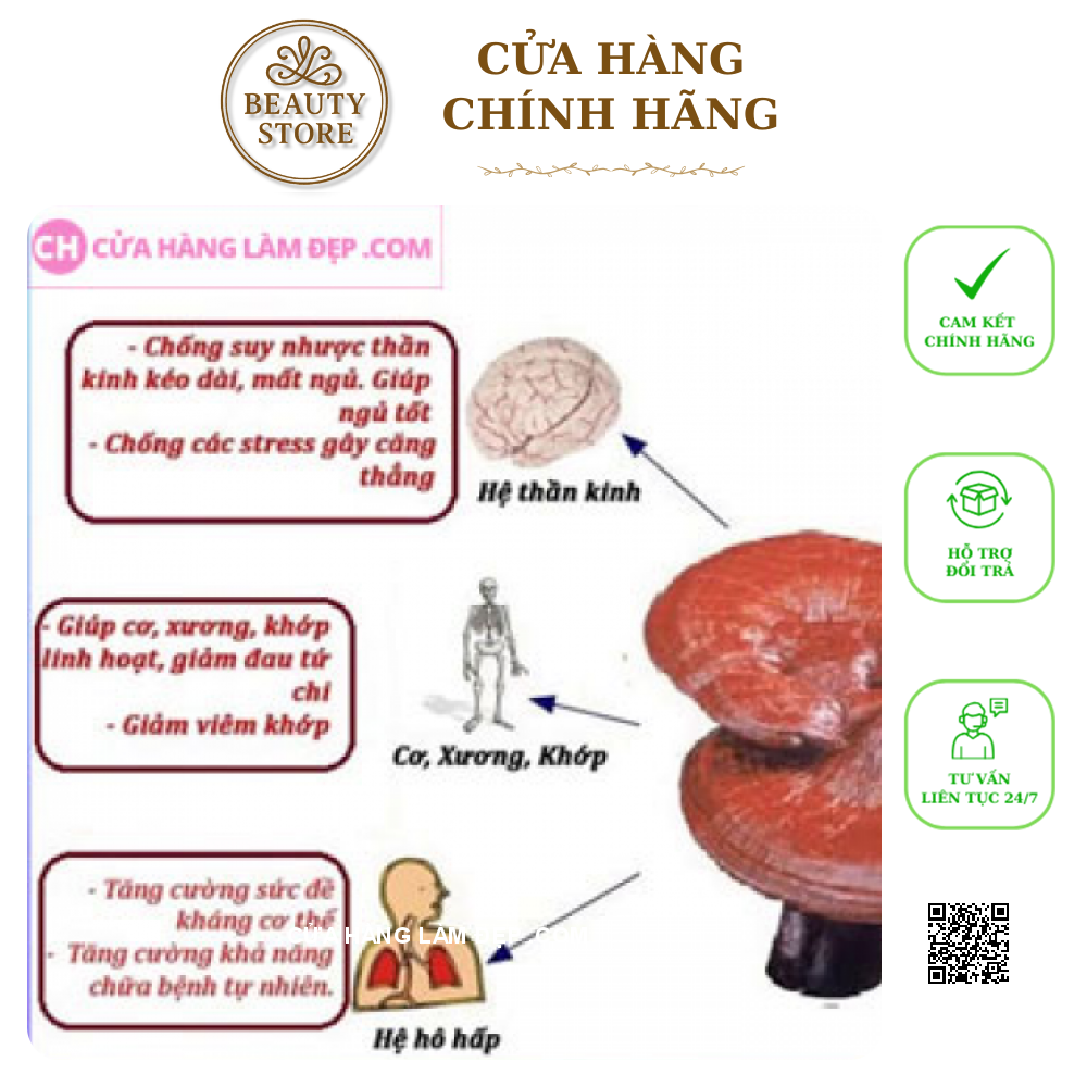 Viên Uống Thảo Dược Giảm Cân Tan Mỡ Nấm X2