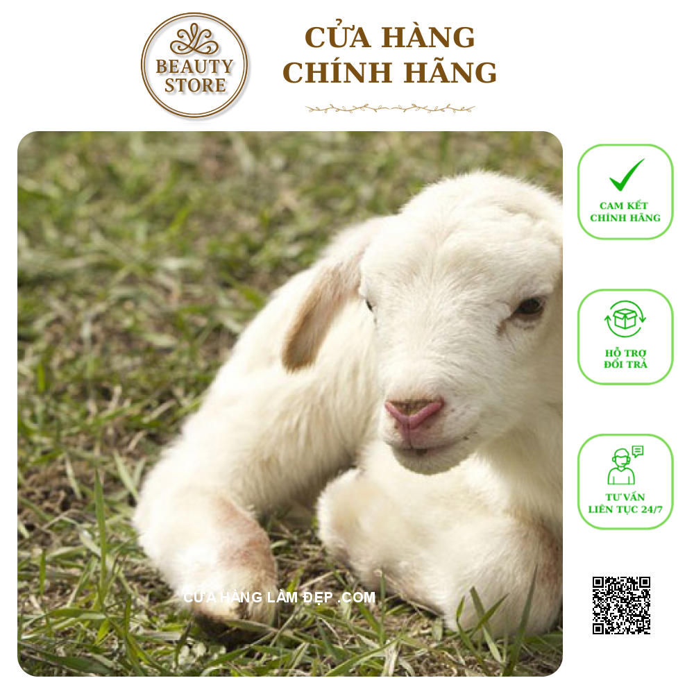 Viên Uống  Cừu Đỏ Rebirth Red Placenta 3000mg Của Úc