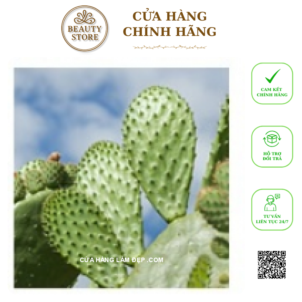 Kem dưỡng ẩm phục hồi và tái tạo da ban ngày 28 Remedy Balancing Day Moisturizer