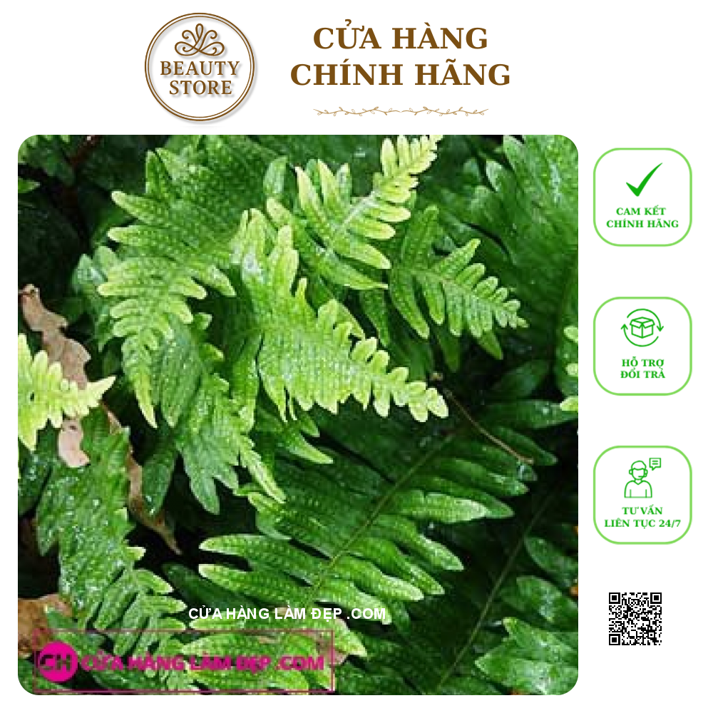 Viên Uống Trắng Da Esthewhite