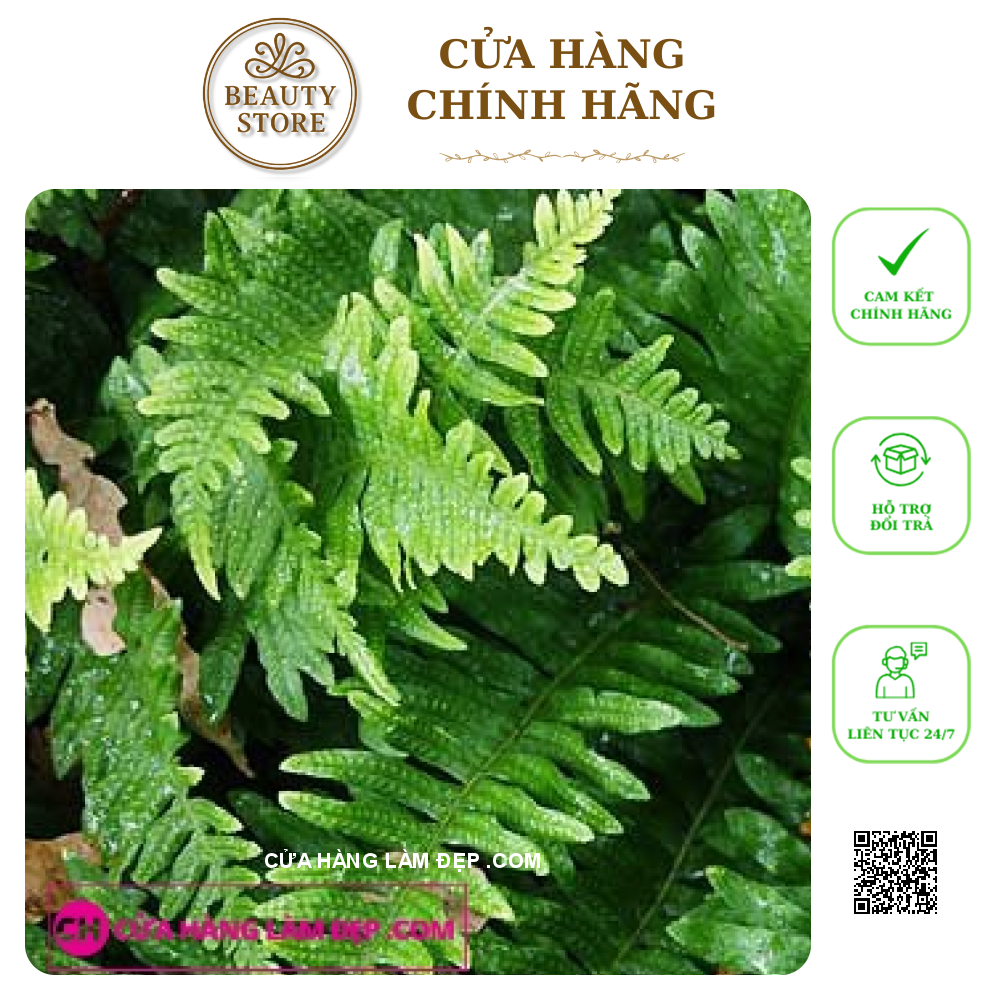 Viên Uống Chống Nắng Ngăn Ngừa Lão Hóa Estheshield