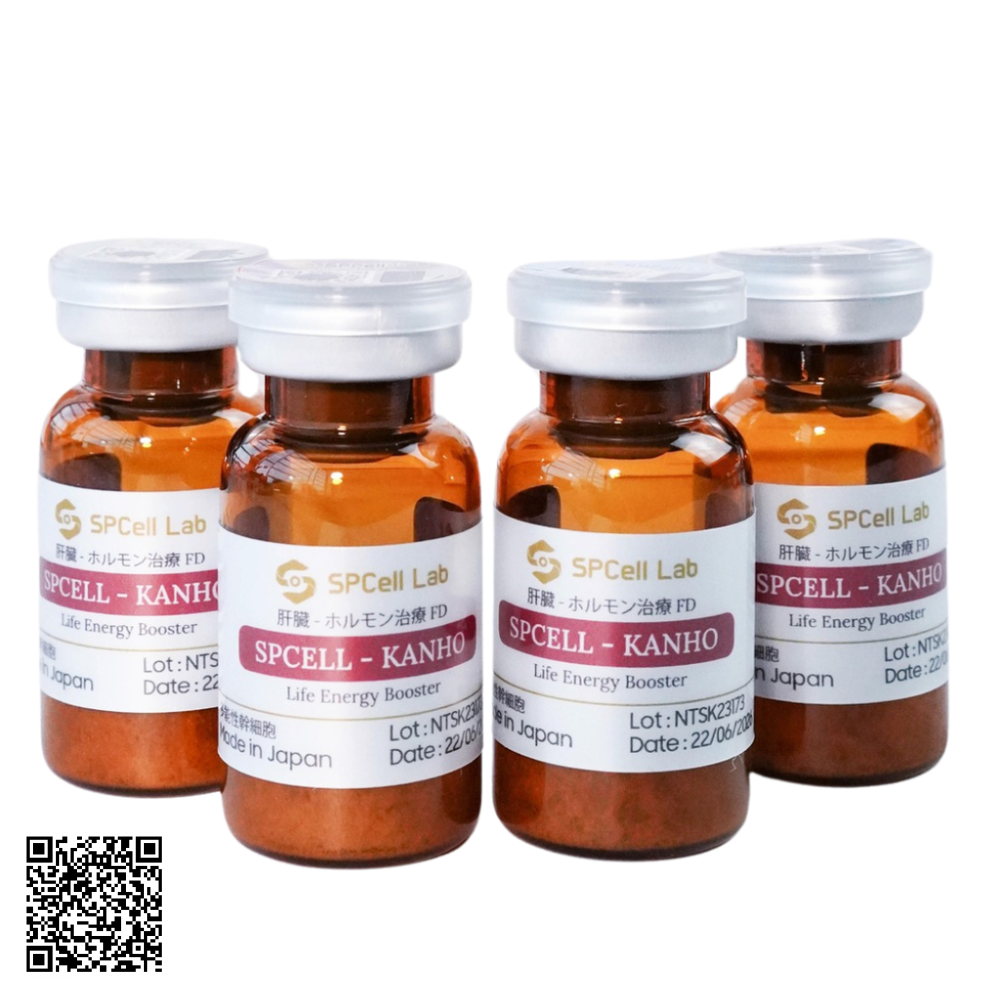 Tế Bào Phục Hồi Gan Spcell Lab Spcell Kanho Nhật Bản .