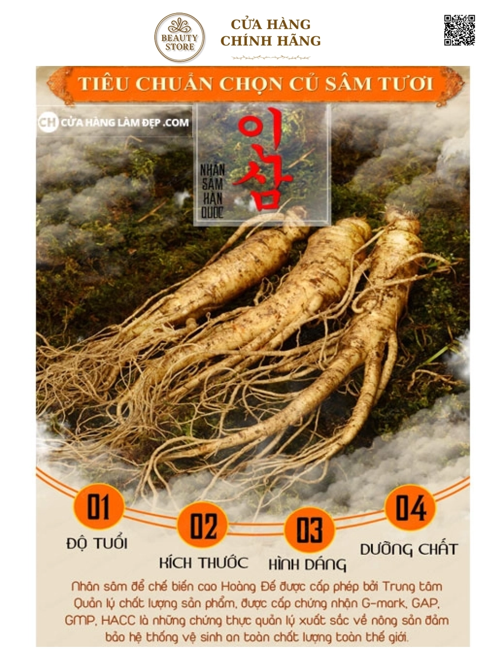 Nhân Sâm Tươi Hàn Quốc (1kg)