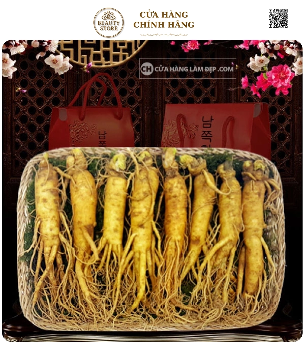 Nhân Sâm Tươi Hàn Quốc 8 củ/kg