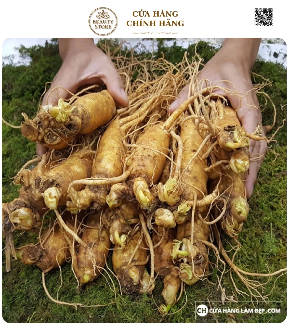 Nhân Sâm Tươi Hàn Quốc 8 củ/kg