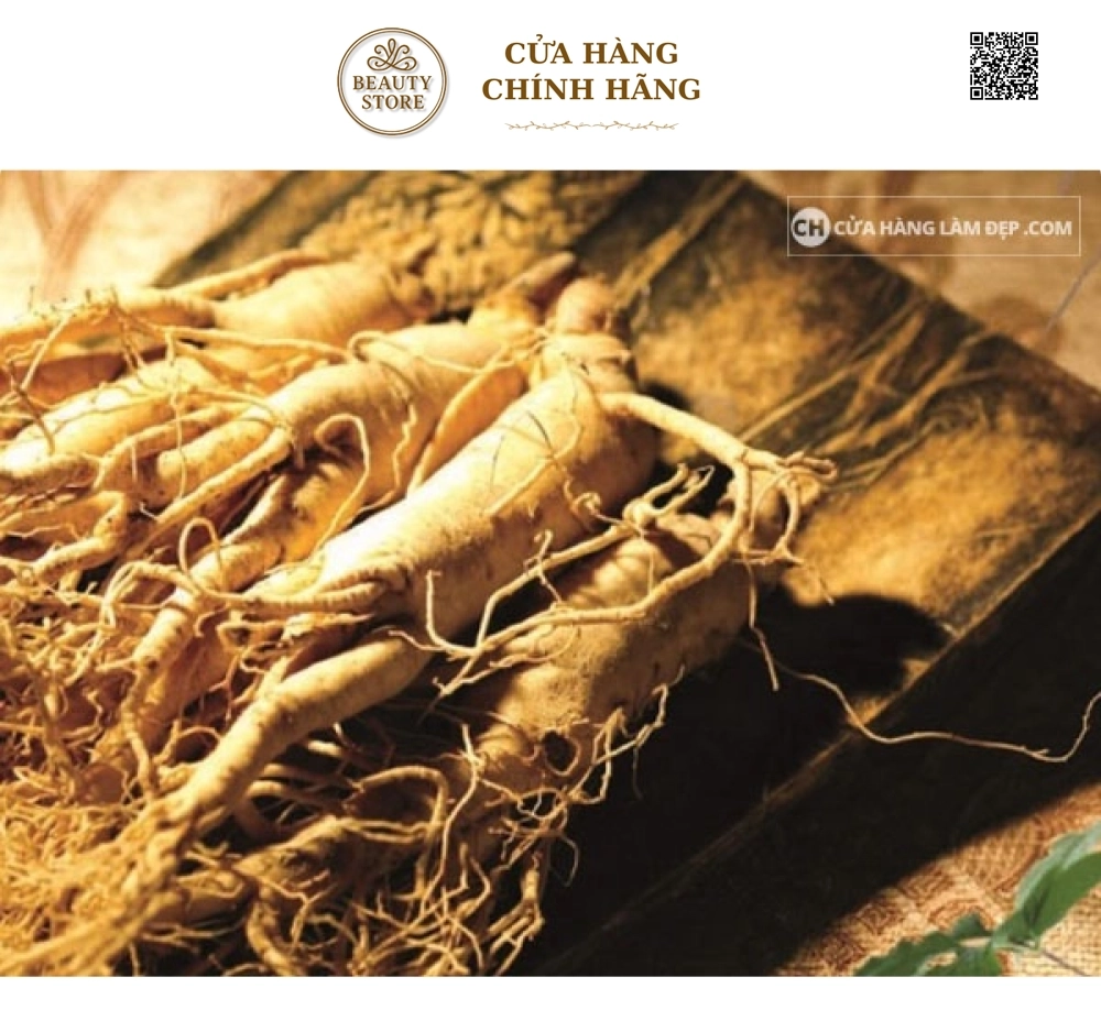 Nhân Sâm Tươi Hàn Quốc 8 củ/kg