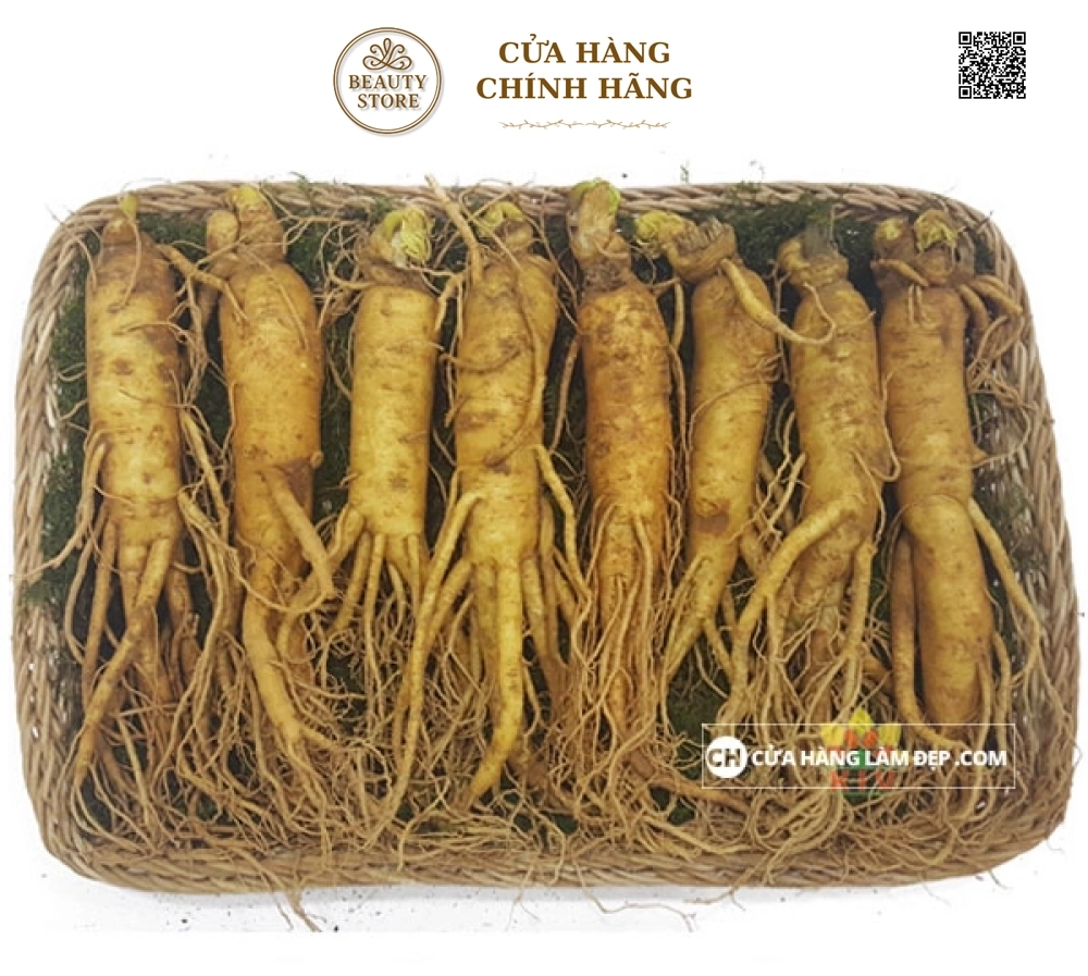 Nhân Sâm Tươi Hàn Quốc 8 củ/kg