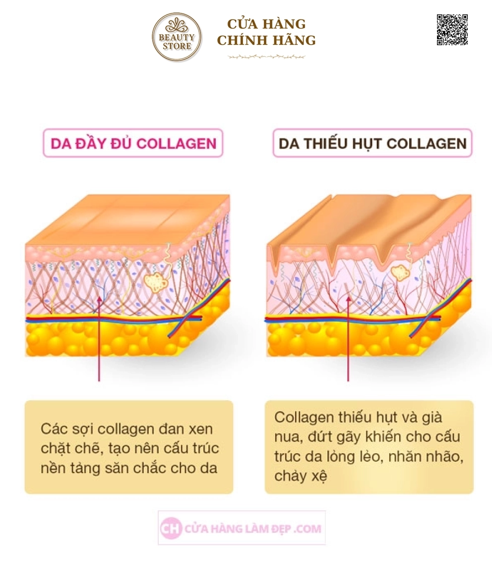 Kem Xoá Mờ Nếp Nhăn, Bổ Sung Collagen Thalgo Collagen Cream