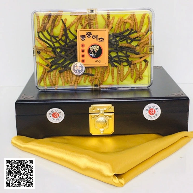 Đông Trùng Hạ Thảo Nguyên Con Cordyceps Militaris Dong Chung Ha Cho Gold 45g 40-45 Con Hàn Quốc