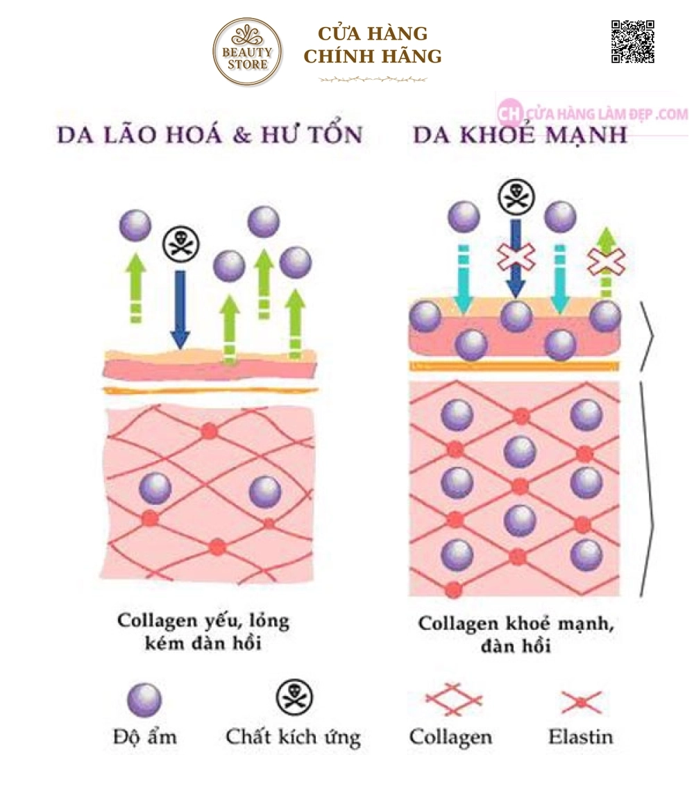Collagen Youtheory Type 1 2 & 3 (290 Viên)
