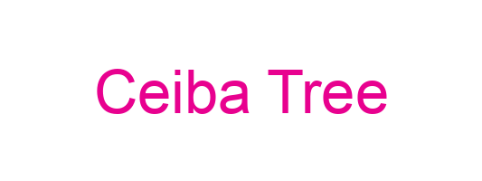 Ceiba Tree