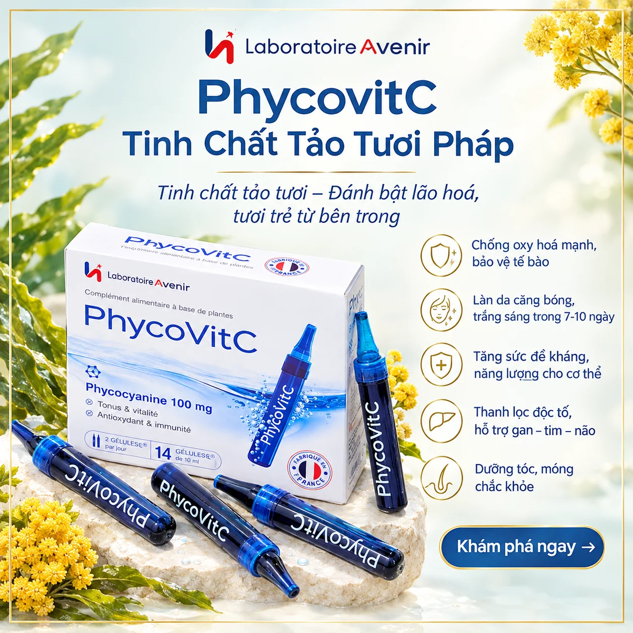 Laboratoire Avenir PhycovitC – Tinh Chất Tảo Tươi Pháp 10ml x 14 ống – Trẻ hoá da, tăng sức đề kháng, thải độc