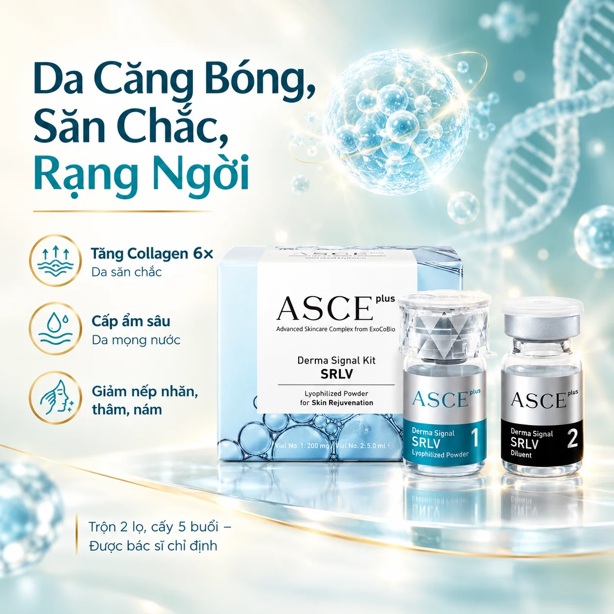 Set Tinh Chất Căng Bóng Da Tế Bào Asce Plus Derma Signal Kit SRLV – 5 Cặp Exosome 5 Tỷ – Giá 19,5 Triệu