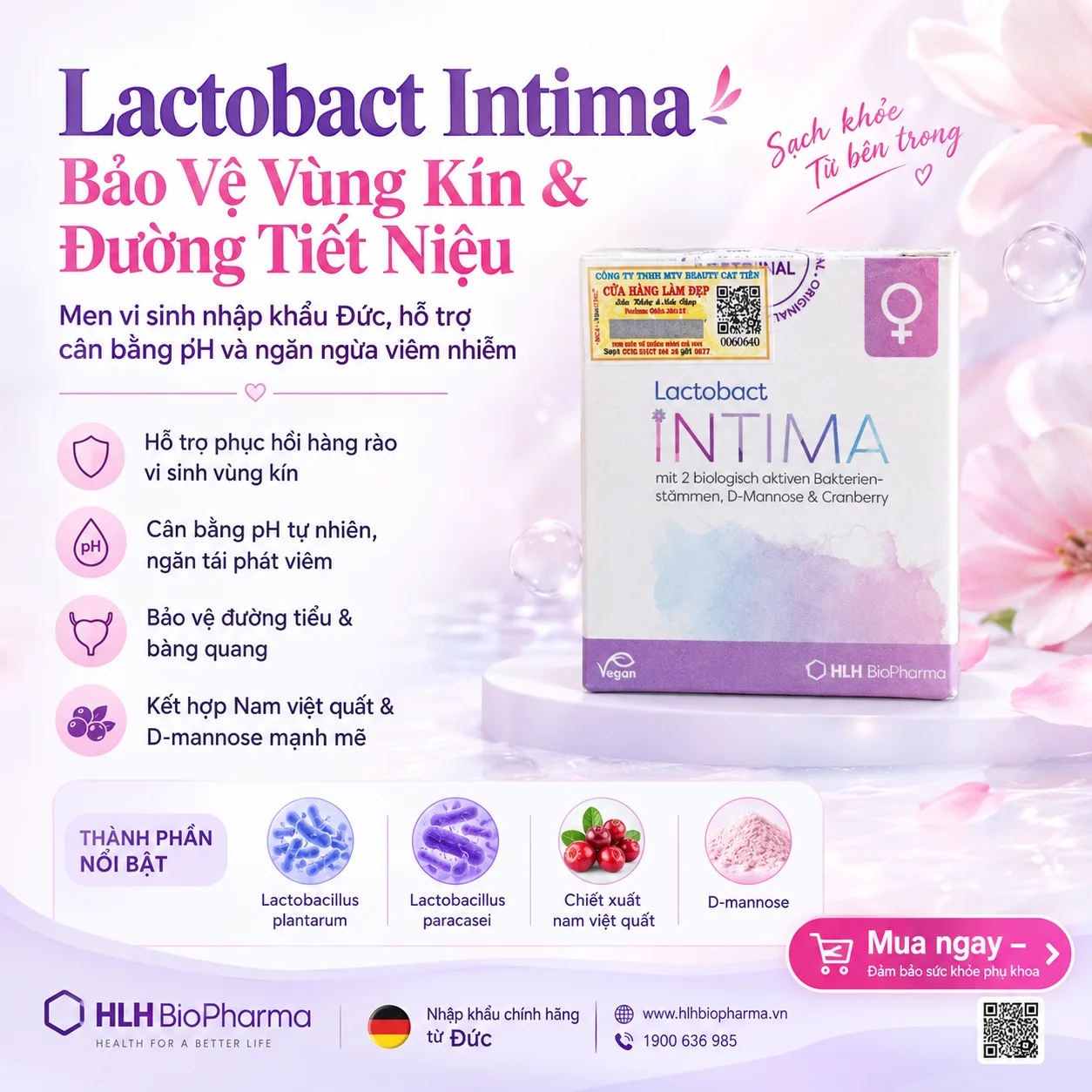 Lactobact Intima HLH Biopharma – Viên Uống Men Vi Sinh Phụ Khoa Đường Tiết Niệu 60 Viên | Hỗ Trợ Sức Khỏe Vùng Kín