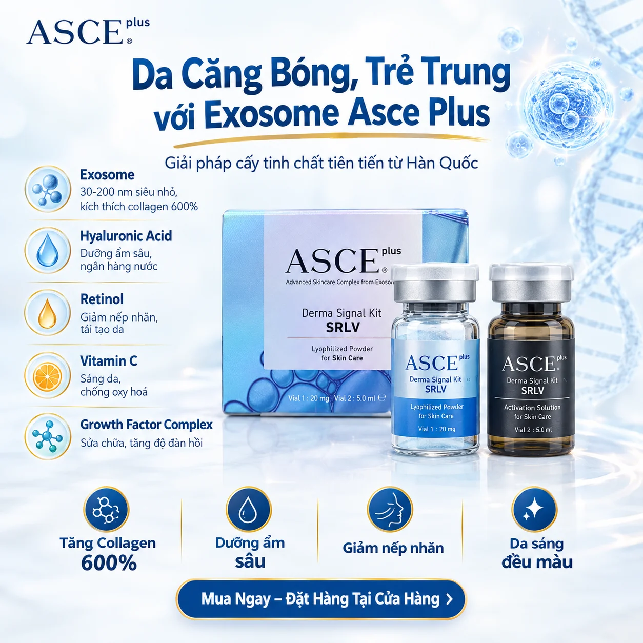Liệu Pháp Cấy Tinh Chất Căng Bóng Da Exosome Asce Plus Derma Signal Kit – Hiệu Quả & Cách Dùng